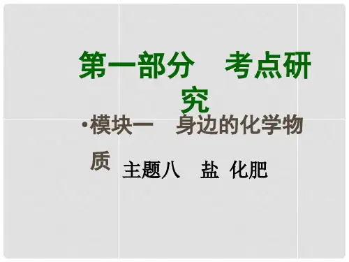 四川省中考化学总复习 主题八 盐 化肥课件