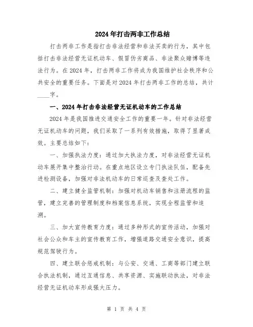 2024年打击两非工作总结