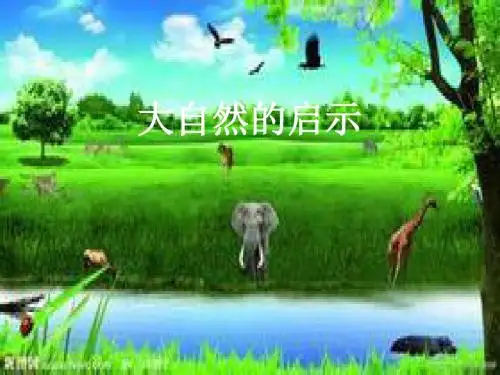 新课标人教版小学四年级语文下册：12、大自然的启示PPT、优质教学课件