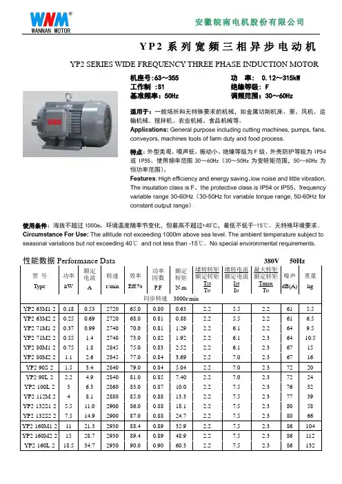变频电机参数规格Y