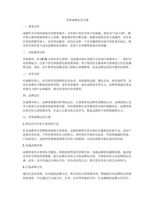 青春成都运营方案