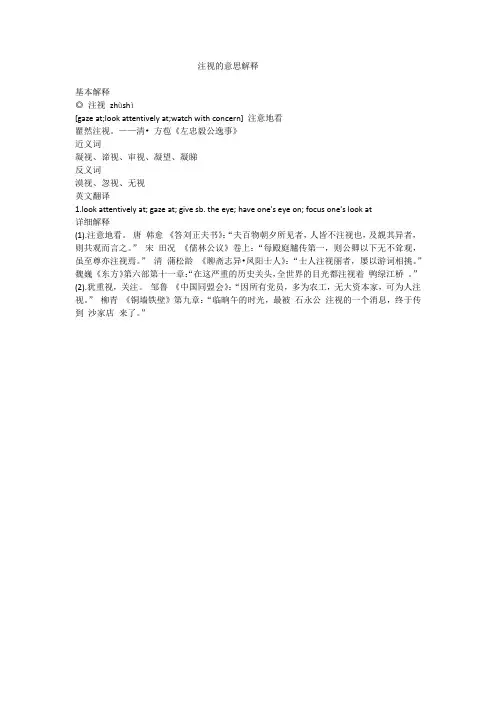 注视的意思解释