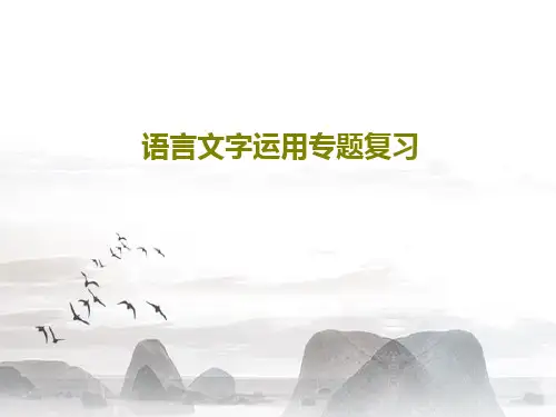语言文字运用专题复习共47页文档