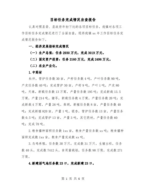 目标任务完成情况自查报告（2篇）