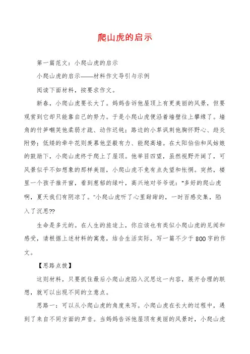 爬山虎的启示