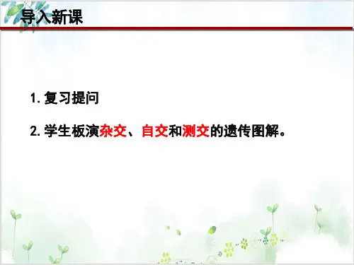 [人教版]《孟德尔的豌豆杂交实验(二)》完美课件2