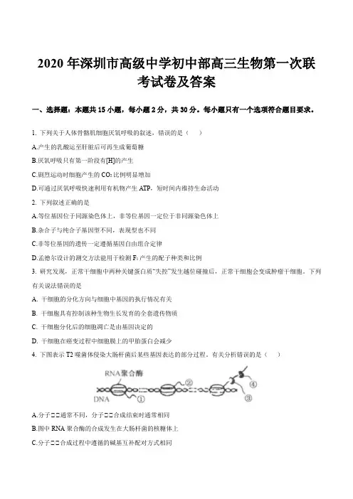 2020年深圳市高级中学初中部高三生物第一次联考试卷及答案