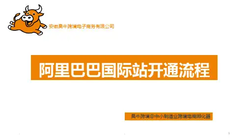 阿里巴巴国际站开通流程PPT课件