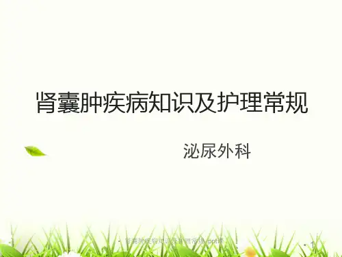肾囊肿疾病知识及护理常规 ppt课件