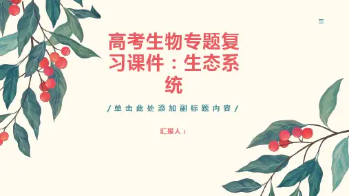 高考生物专题复习课件：生态系统