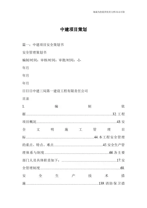 中建项目策划