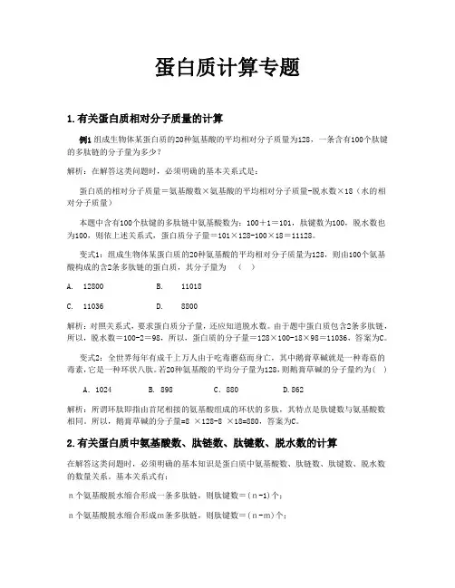 蛋白质的计算