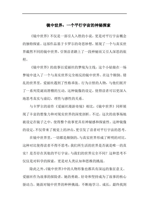 镜中世界：一个平行宇宙的神秘探索