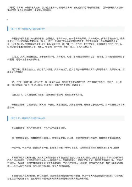 那一抹暖阳九年级作文600字