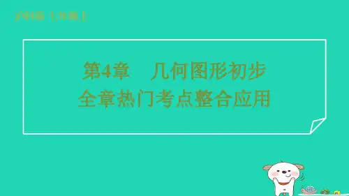 2024七年级数学上册第4章几何图形初步全章热门考点整合应用课件新版沪科版