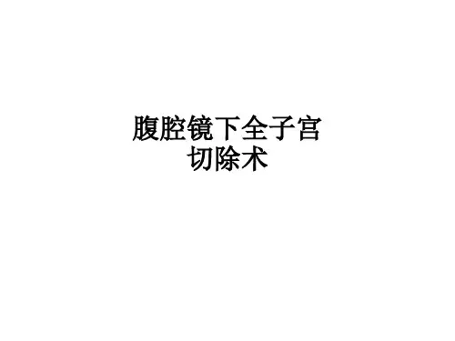 腹腔镜下全子宫切除术ppt课件