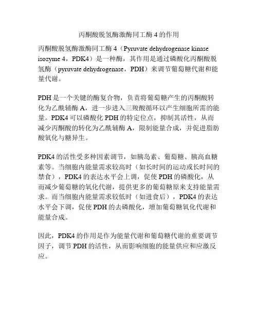 丙酮酸脱氢酶激酶同工酶4的作用