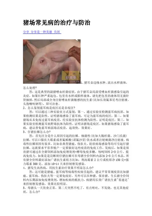 几种猪的常见病