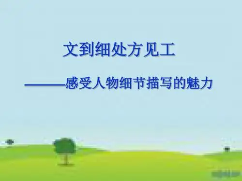 感受人物细节描写的魅力