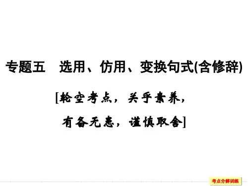 高考语文复习 选用、仿用、变换句式(含修辞)