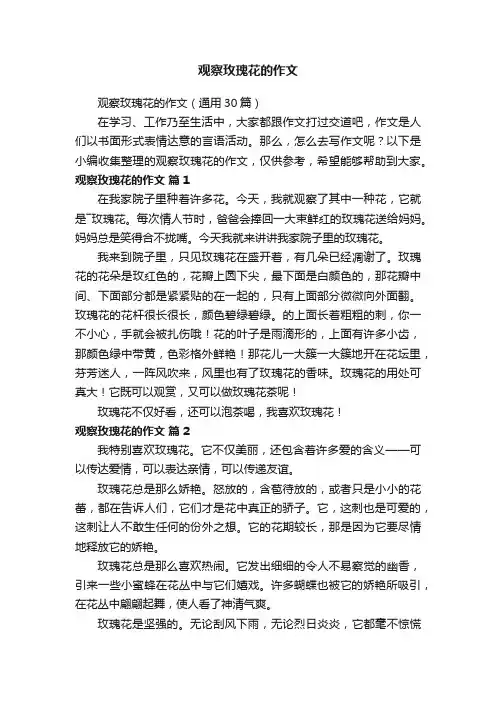 观察玫瑰花的作文（通用30篇）