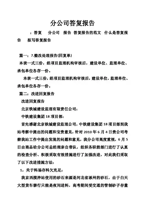 分公司答复报告