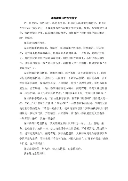我与深圳风的细节作文800