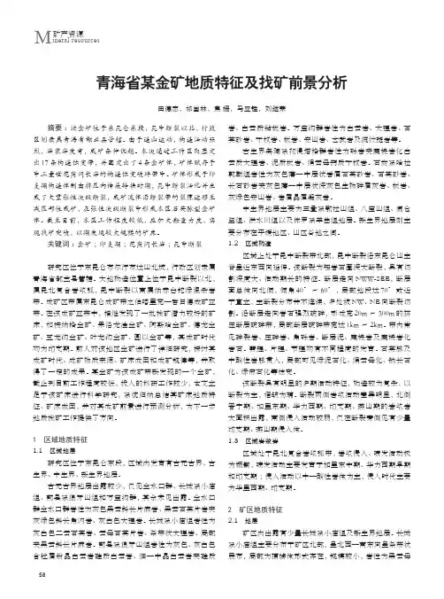 青海省某金矿地质特征及找矿前景分析