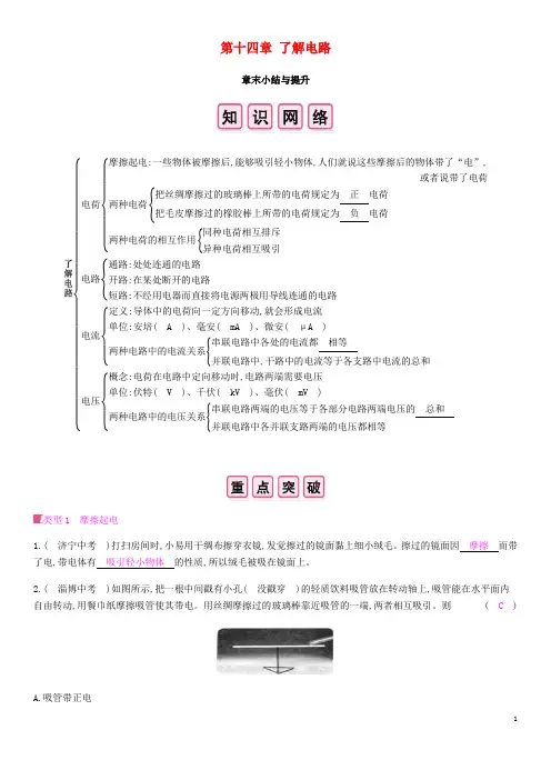2024秋九年级物理全册第十四章了解电路章末小结与提升习题新版沪科版