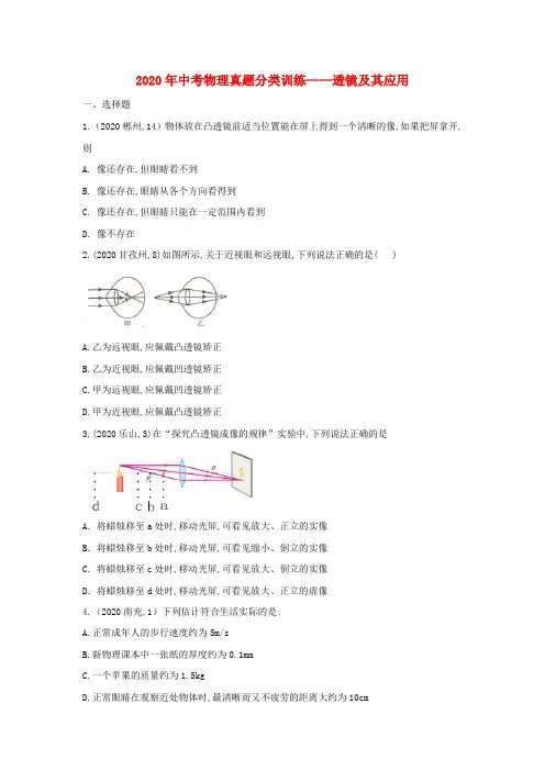 中考物理真题分类训练_透镜及其应用