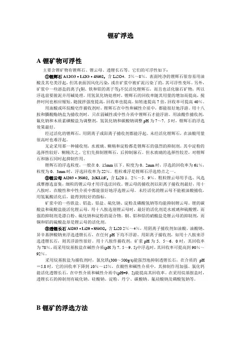 锂选矿