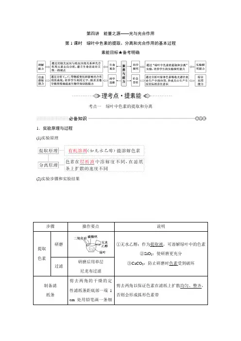 新高考一轮复习人教版绿叶中色素的提取分离和光合作用的基本过程教案