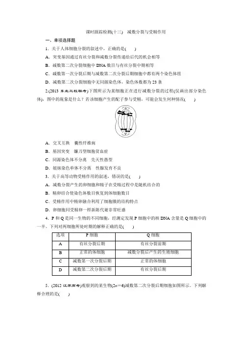 课时跟踪检测(十三) 减数分裂与受精作用