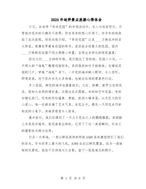 2024年迪拜景点旅游心得体会（五篇）