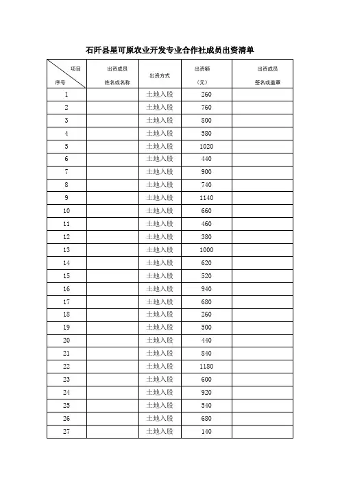 ——成员出资清单