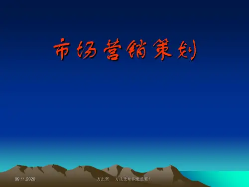 市场营销策划讲义.ppt