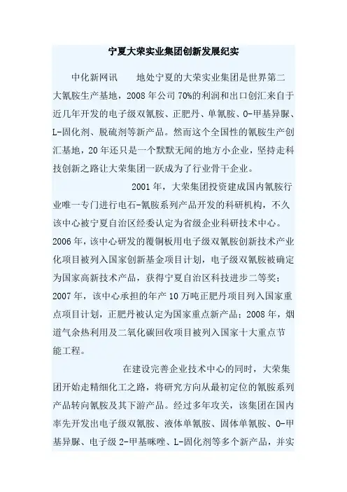 宁夏大荣实业集团创新发展纪实