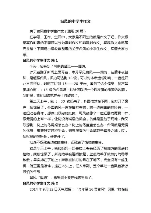 关于台风的小学生作文（通用20篇）