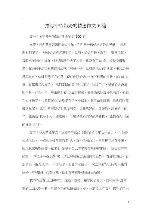 描写爷爷奶奶的精选作文5篇
