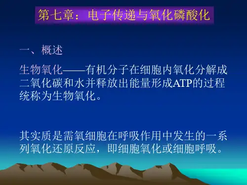 生物化学王镜岩版第七章生物氧化