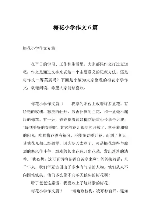 梅花小学作文6篇