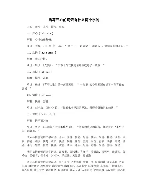 描写开心的词语有什么两个字的