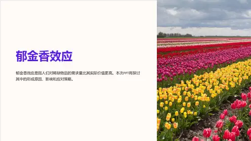 《郁金香效应》课件