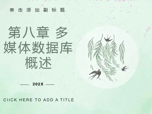 多媒体数据库概述