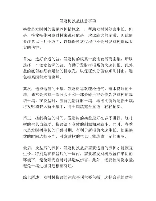 发财树换盆注意事项