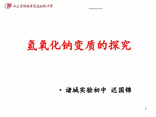 氢氧化钠变质的探究 ppt课件