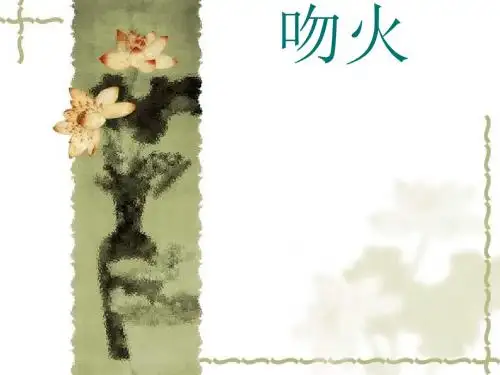 吻火ppt实用课件2