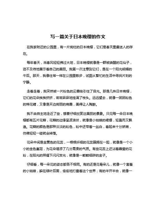 写一篇关于日本晚樱的作文