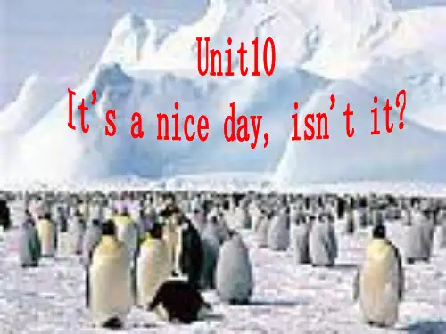 英语：Unit 10 It’s a nice day, isn’t it课件(人教新目标八年级下) Section A课件 (新目标英语八年级
