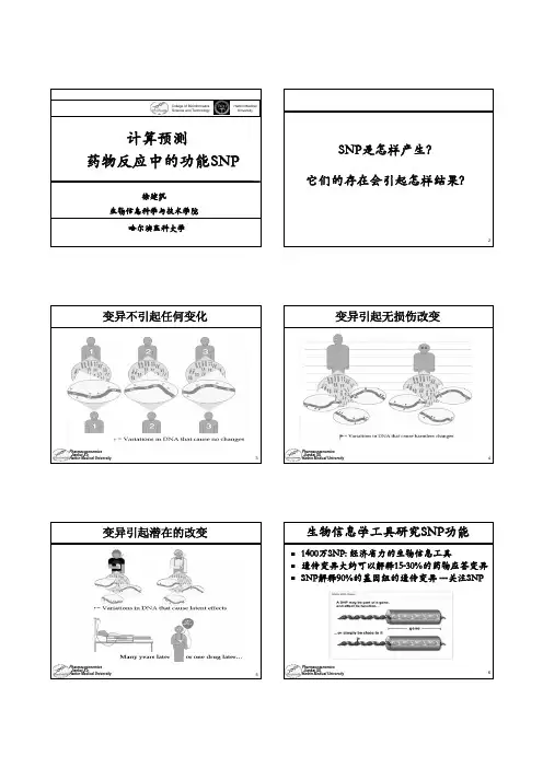 药物生物信息学 计算预测药物反应中的功能SNP